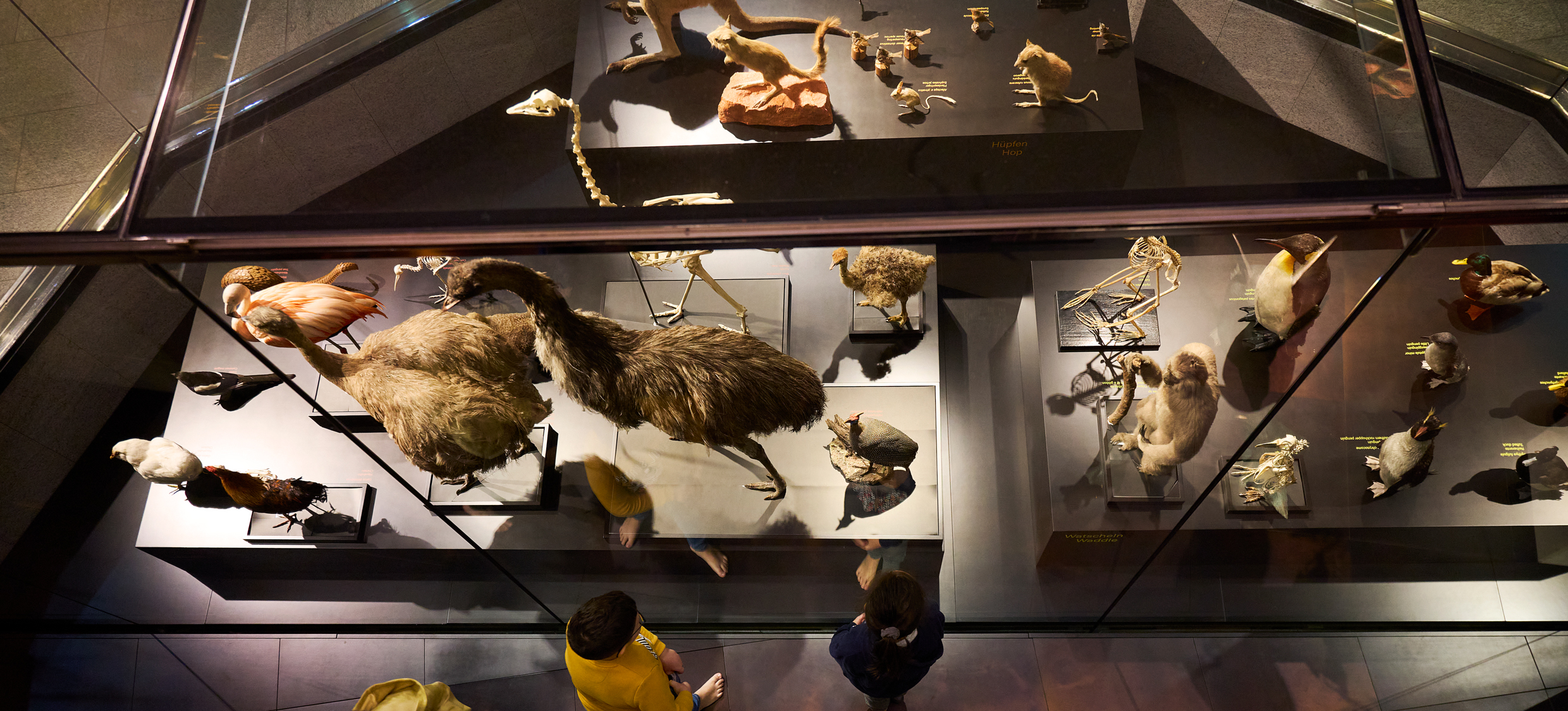 Aktuelle Sonntagsführung