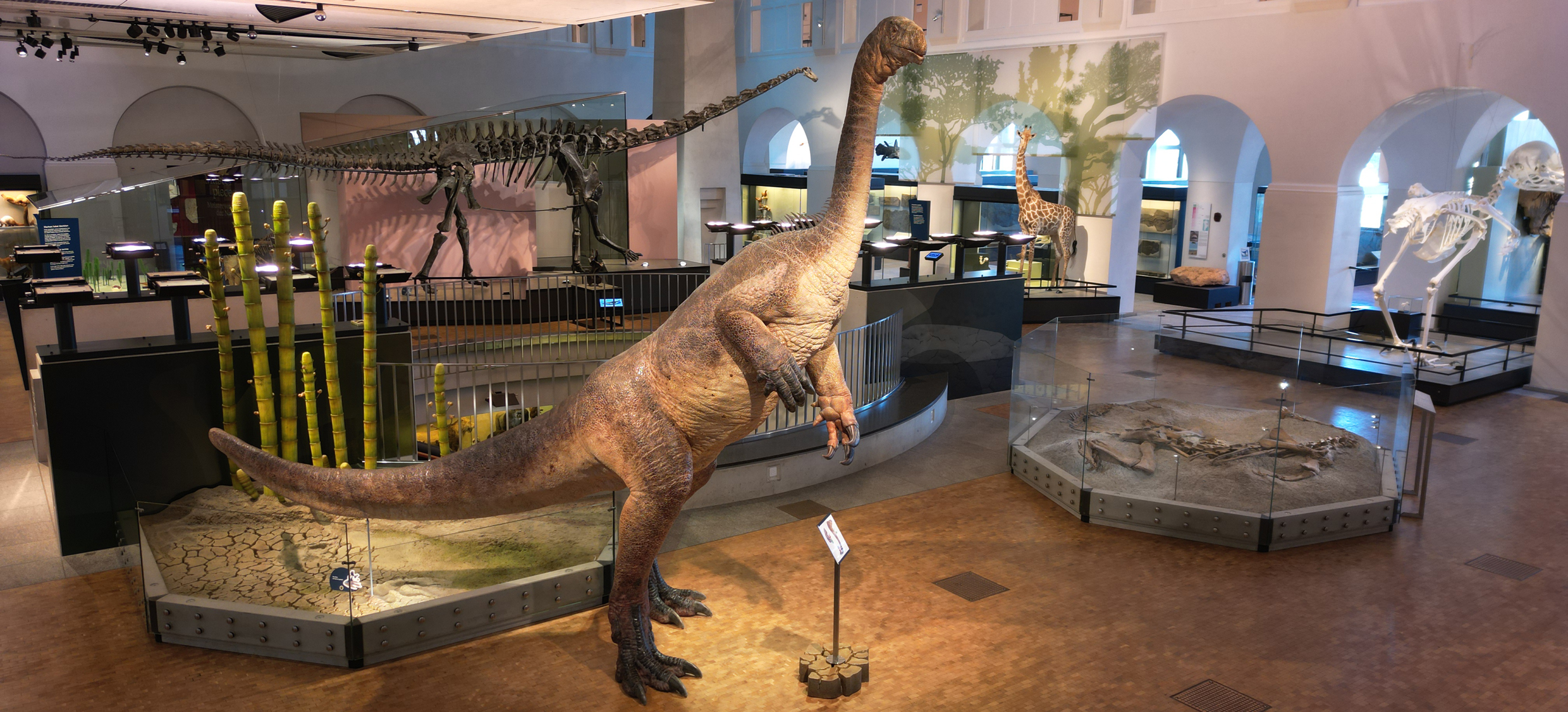 Dino 02