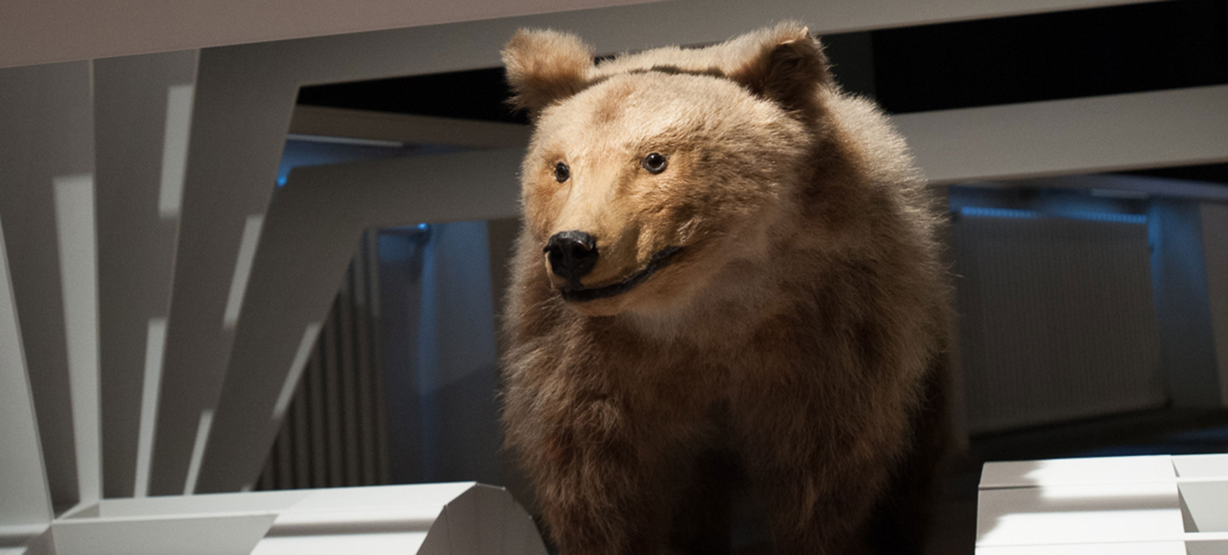 Gessner Ausstellung 11