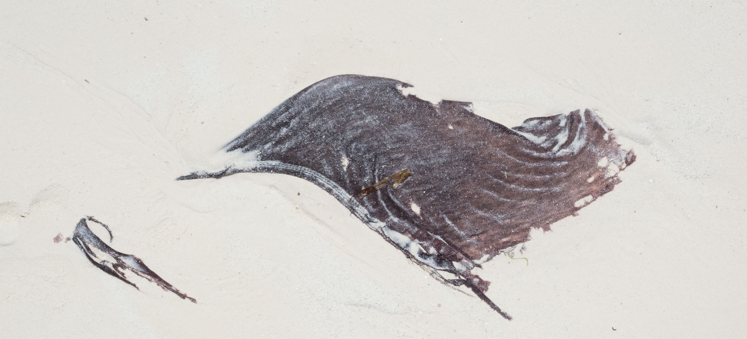 2014_Strandgut_07