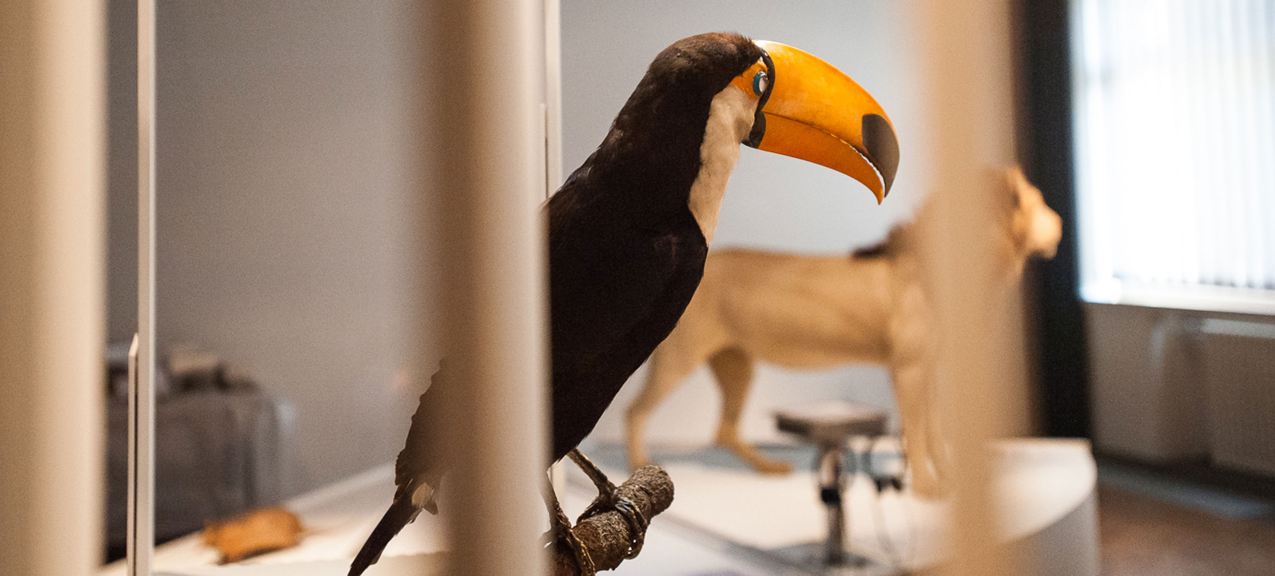 Gessner Ausstellung 07