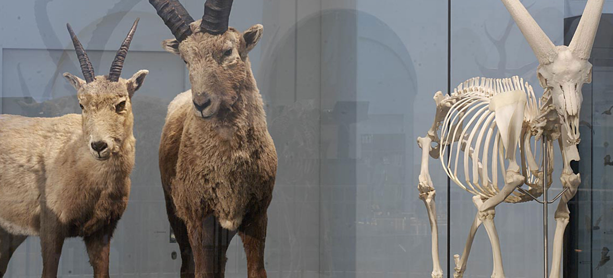 Dauerausstellung 2480x1125