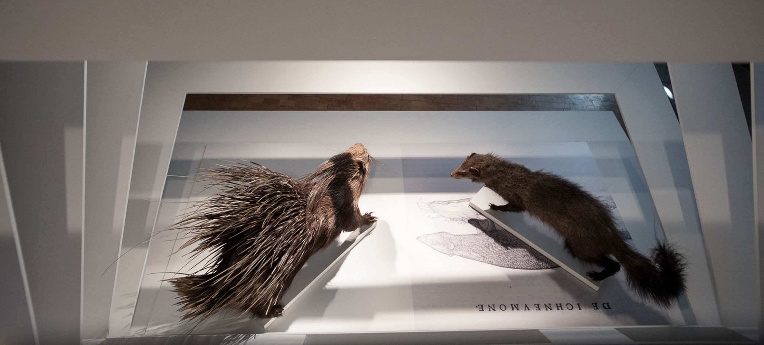 Gessner Ausstellung 04