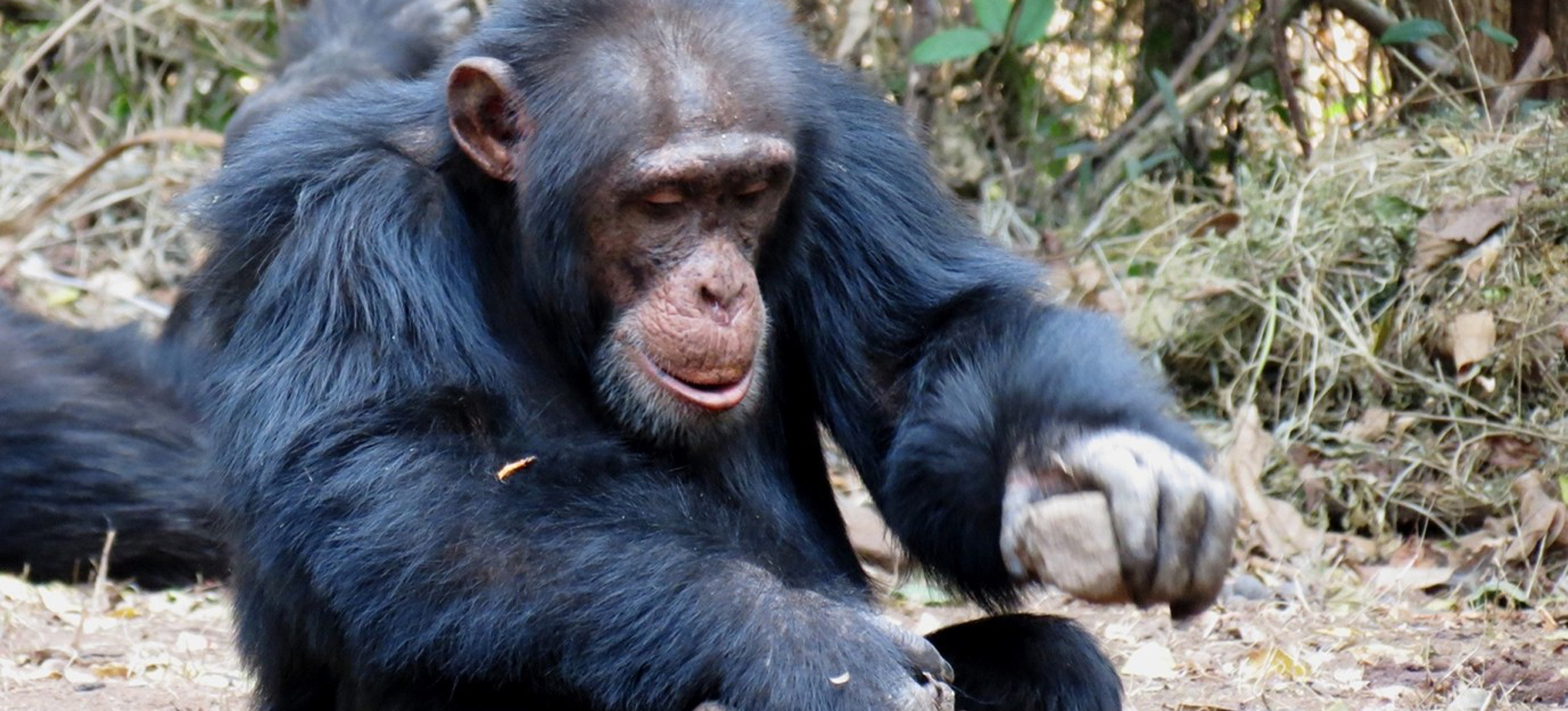 Aktuelles Wissen to Go