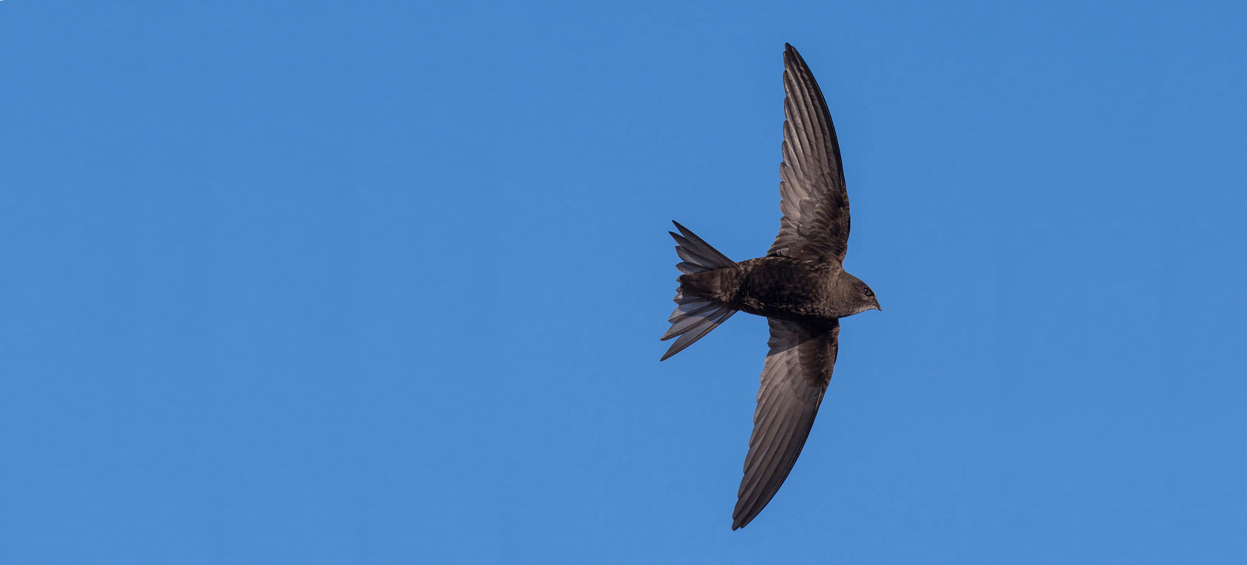 Aktuelles Wissen to Go