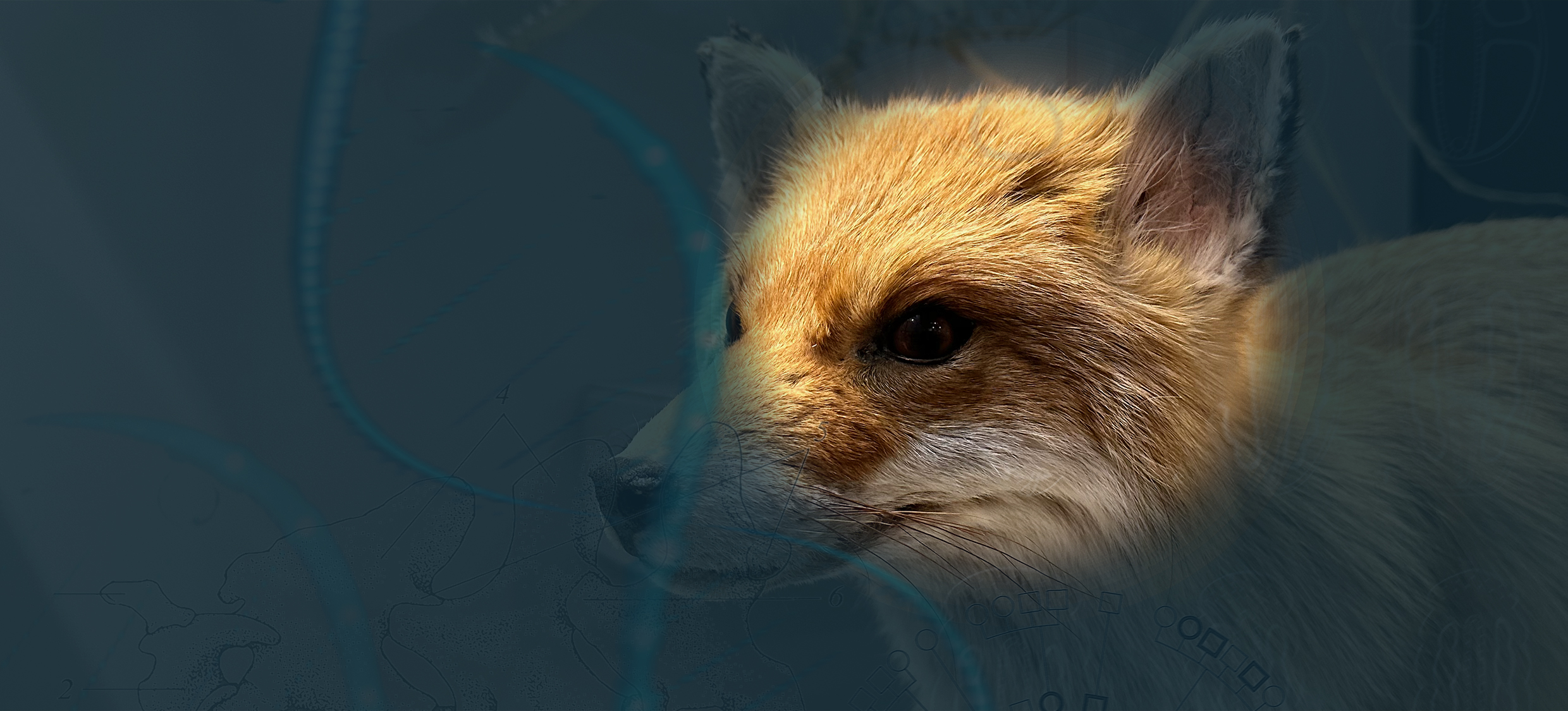 Wissen to go – abends im Museum